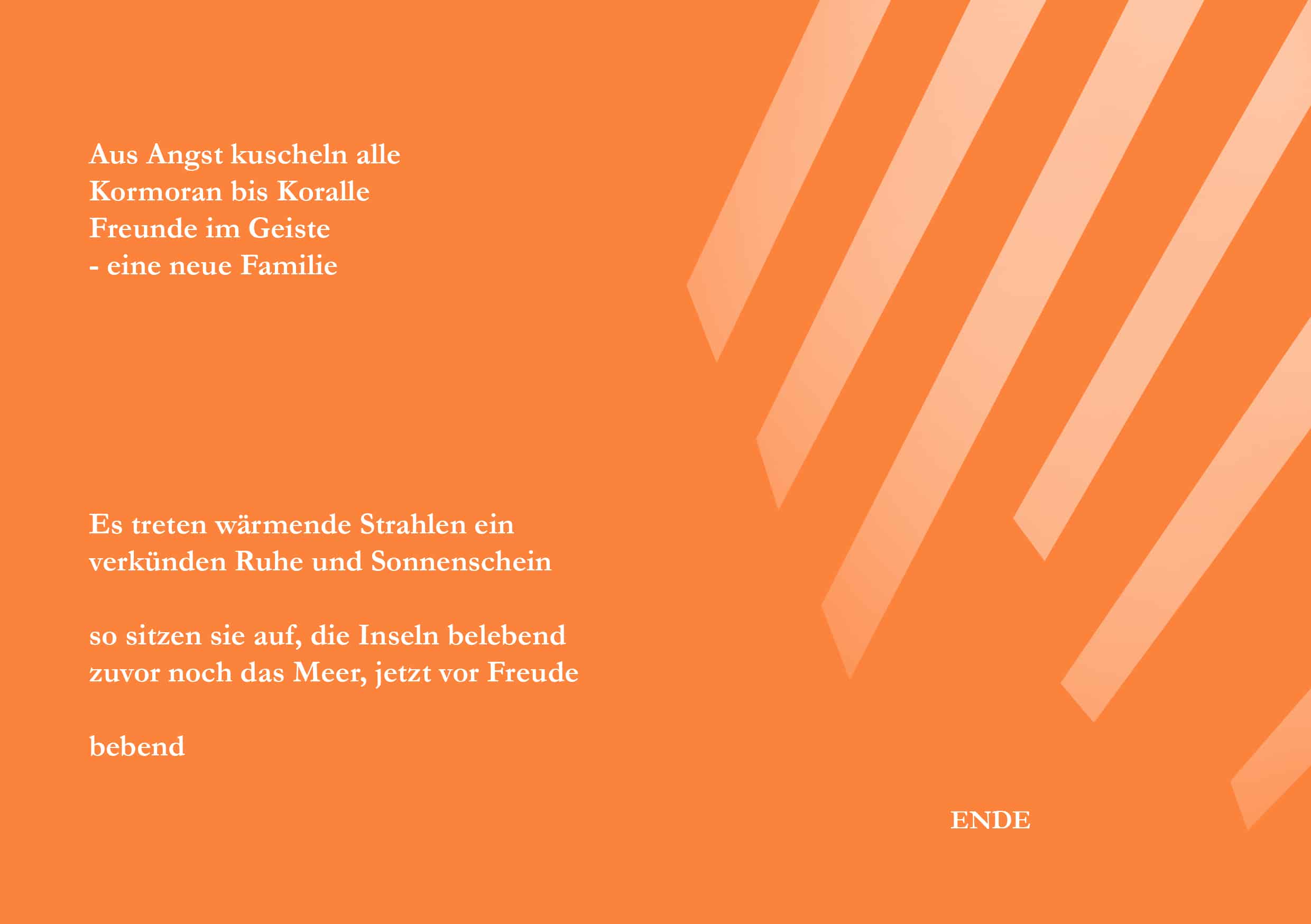 Kaiman - eine Reise - Kinderbuch